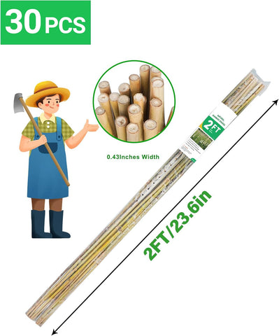 Groovboo bamboo stake for beans steadies delicate stems and climbing vines.