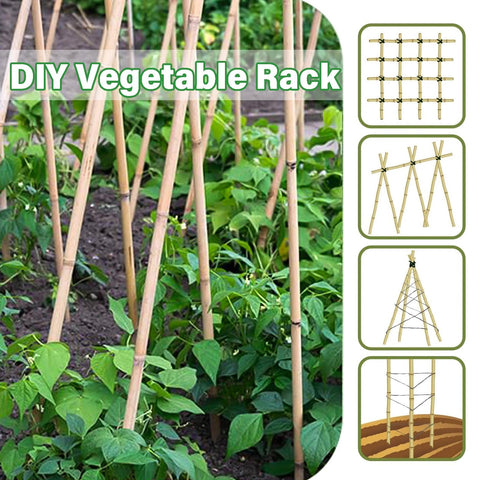 Groovboo bamboo stake for flowers keeps stems upright and bouquets tidy.