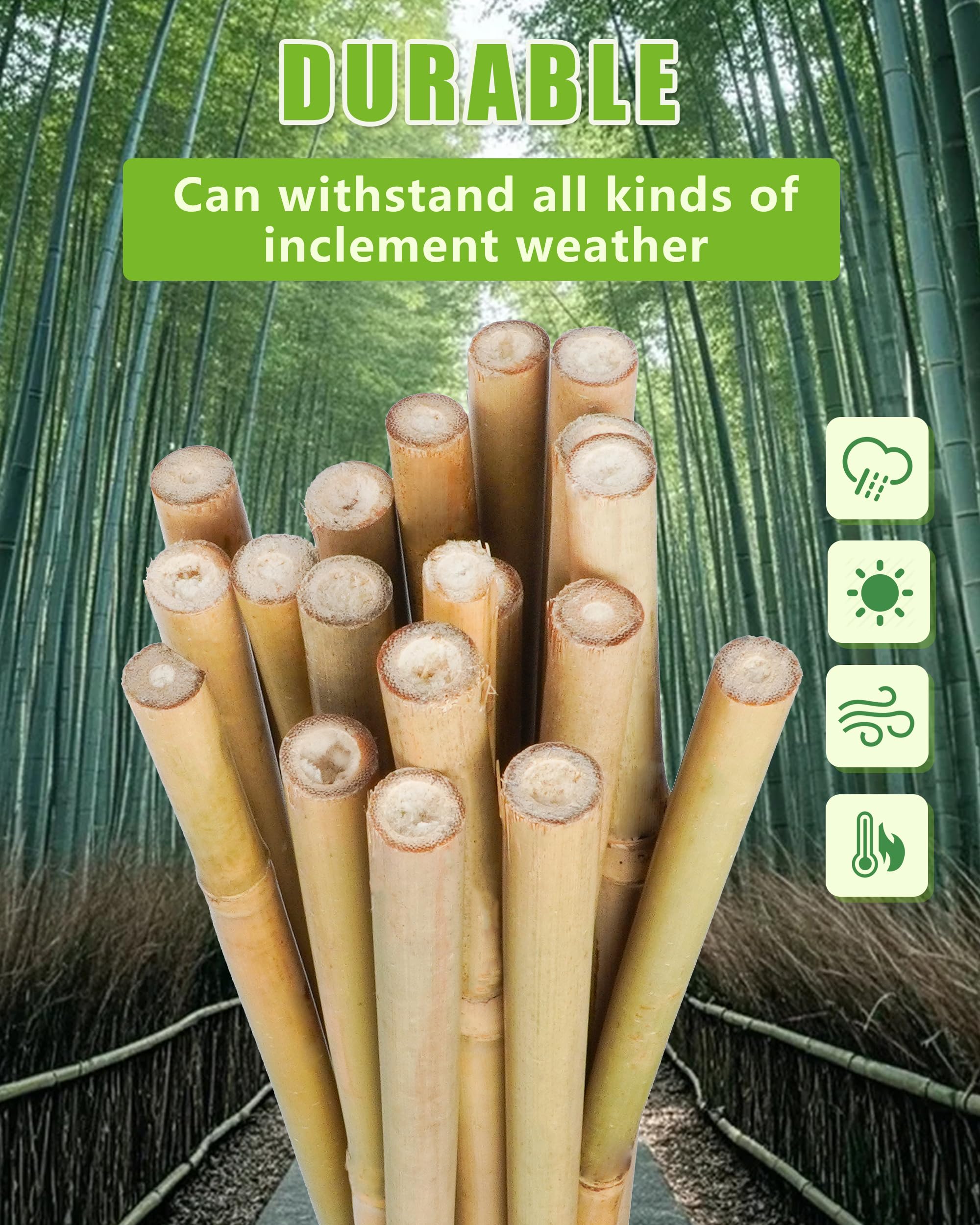 Groovboo bamboo stake for potted plants provides stable support in containers.