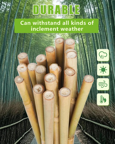 Groovboo bamboo stake for potted plants provides stable support in containers.
