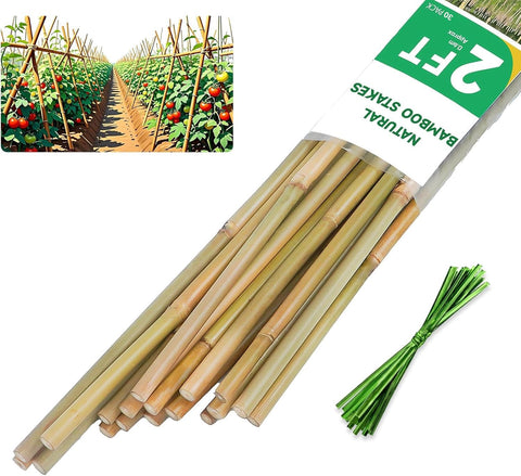 Groovboo bamboo stake for tomatoes supports upright vines and sturdy growth.