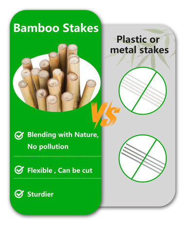 Groovboo bamboo stake for garden use keeps vegetables neat and organized.