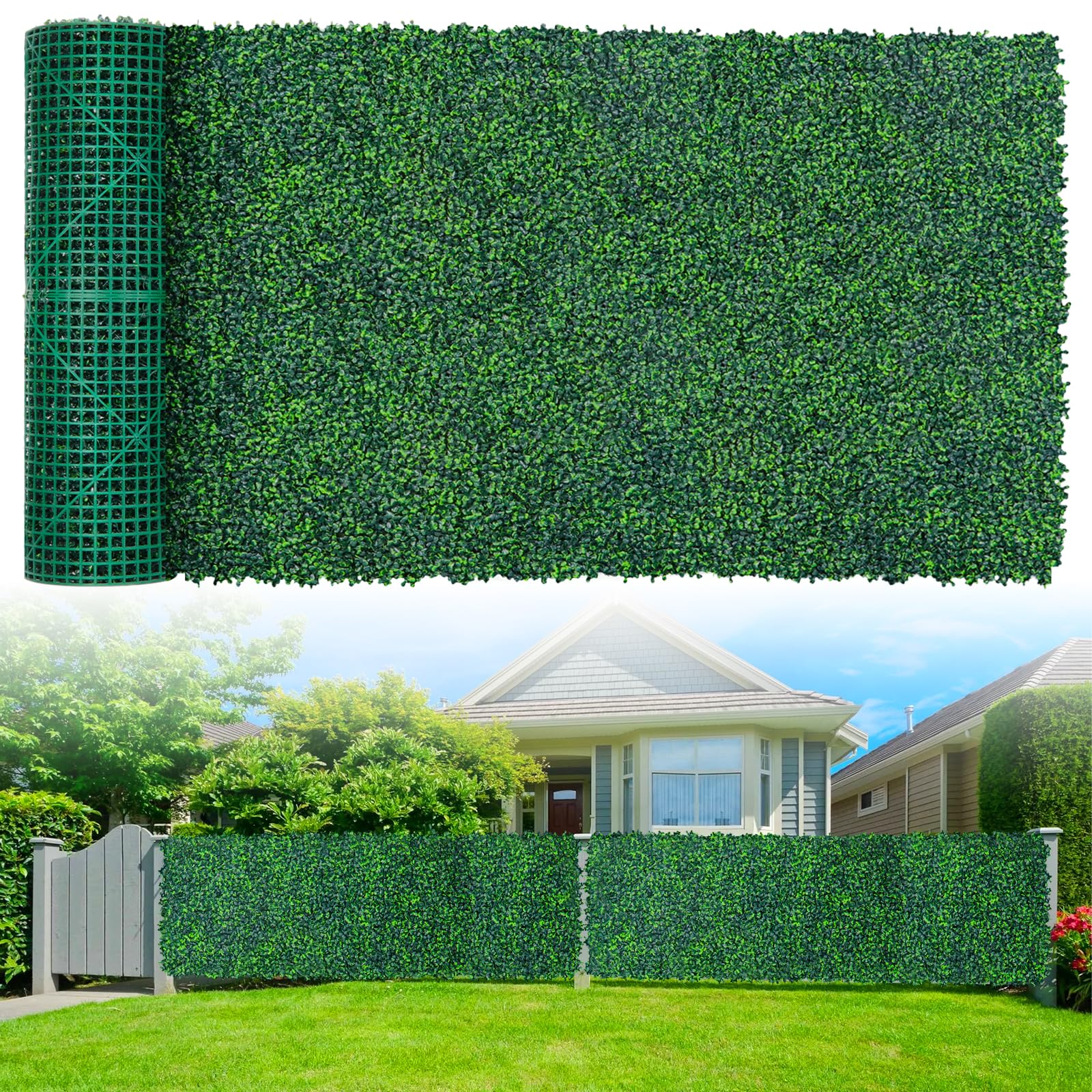 Grooy boxwood roll panel close-up leaves showing dense privacy for fences.