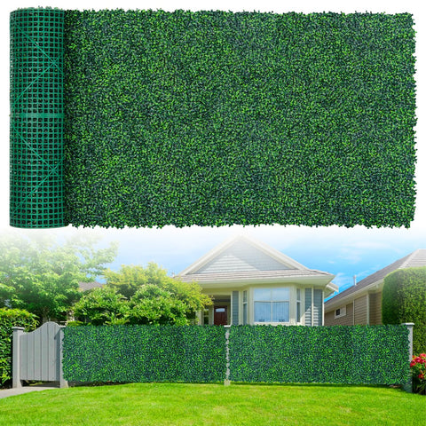 Grooy boxwood roll panel close-up leaves showing dense privacy for fences.