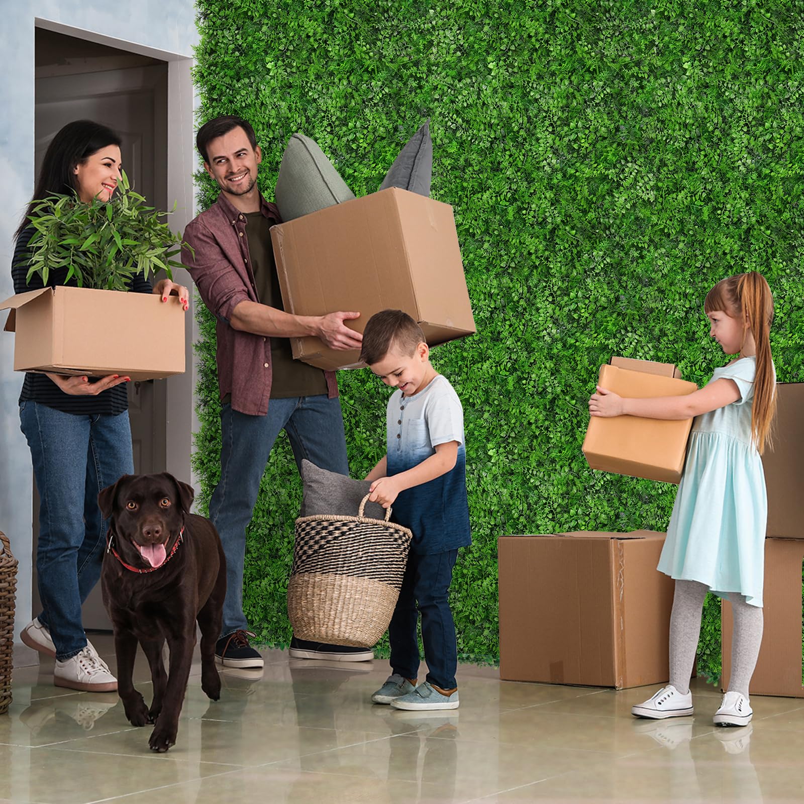 Grooy indoor green wall decor enhances living spaces with lush color.