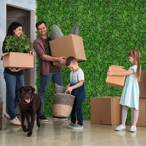 Grooy indoor green wall decor enhances living spaces with lush color.