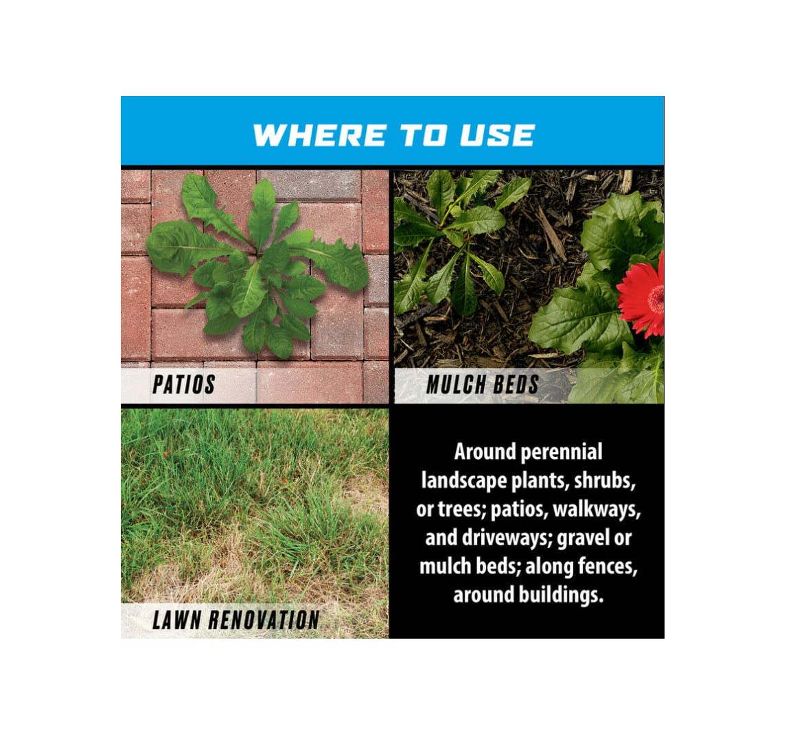 Groundclear Ortho being used under trees in a landscape bed.