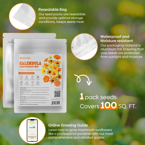 Groundio Calendula Pacific Beauty mix bloom-preview—dense flowers brighten beds and pathways.