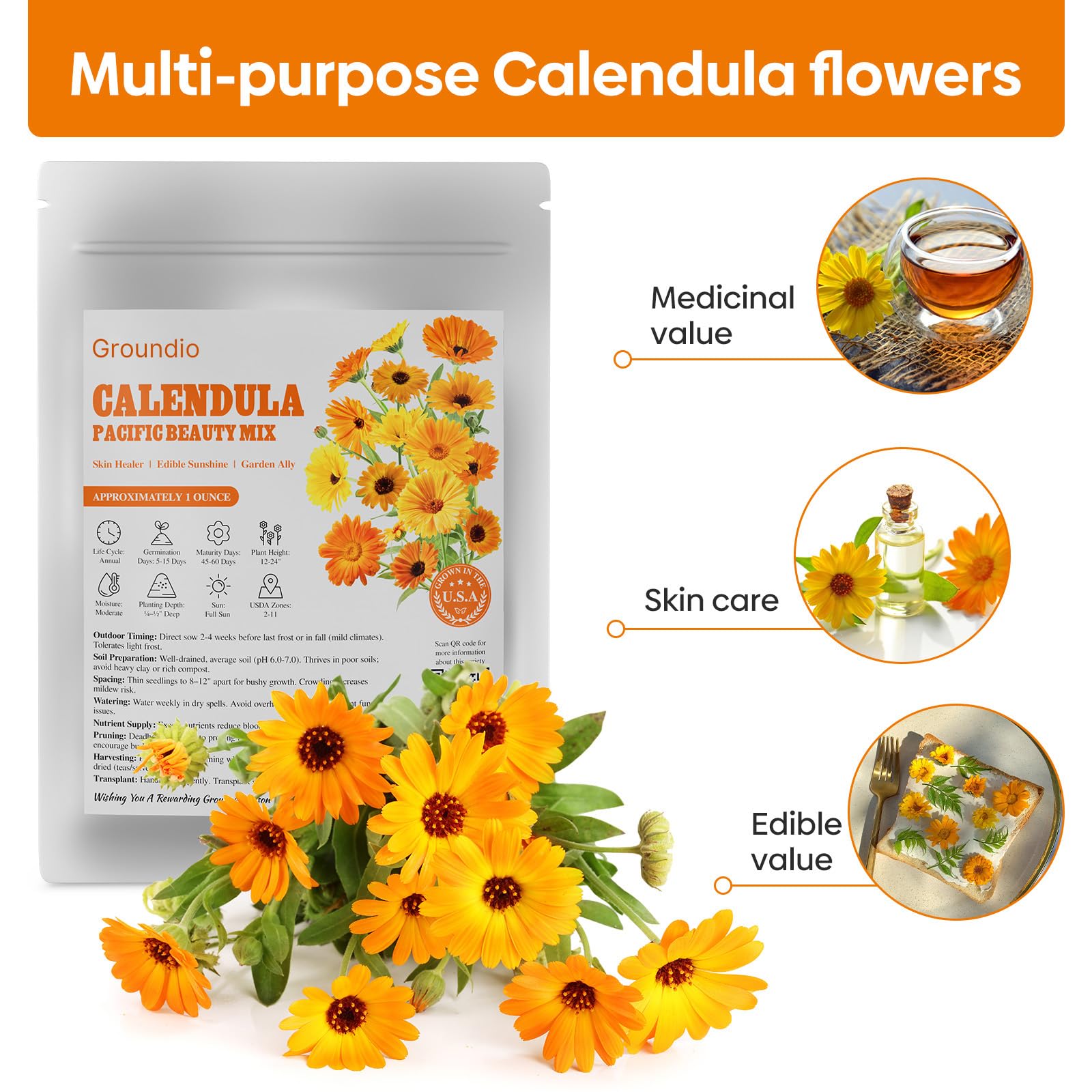 Groundio Calendula Pacific Beauty mix seeds in a pot—easy, cool-weather bloom for patio containers.