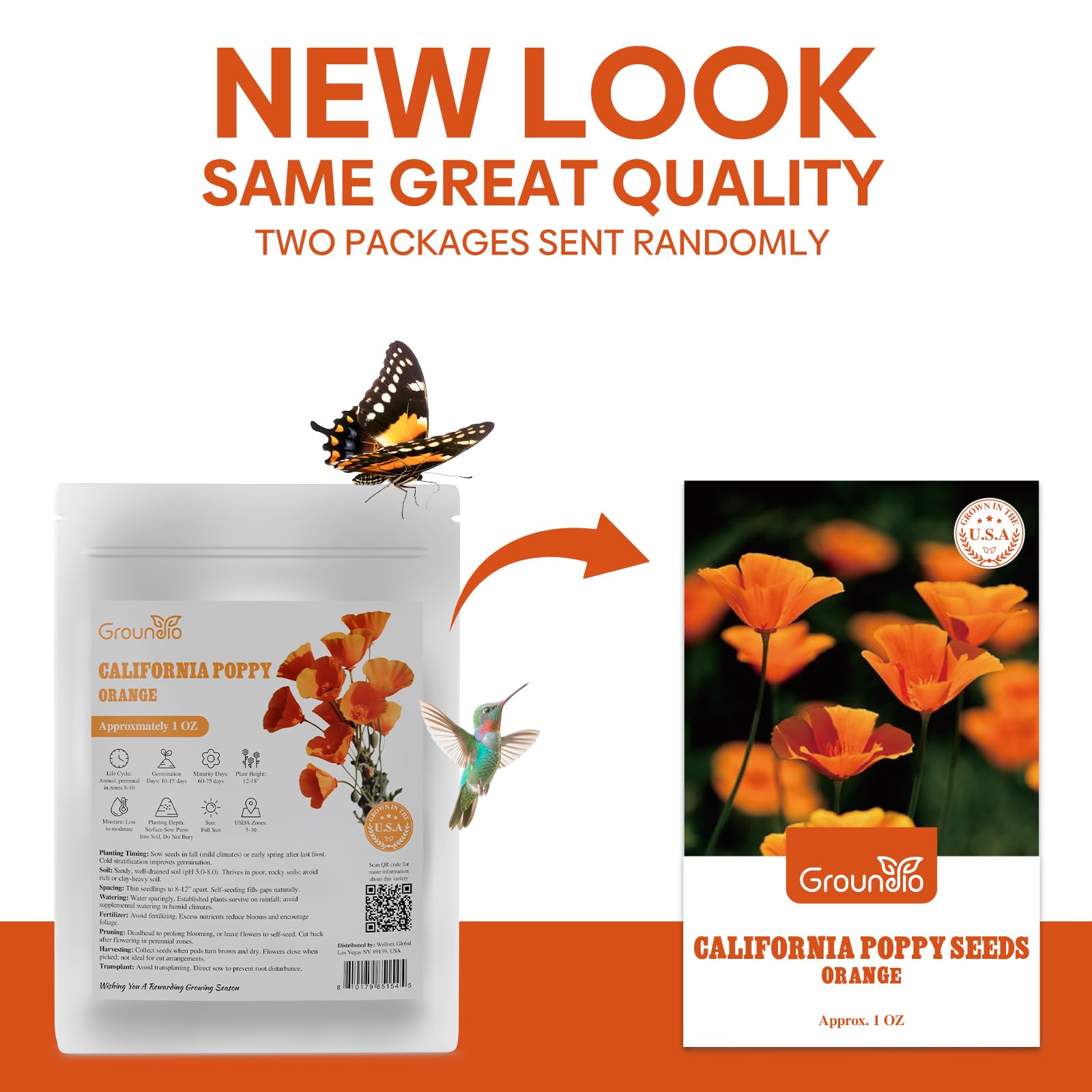 Vibrant orange California poppy petals bloom in bright sun.