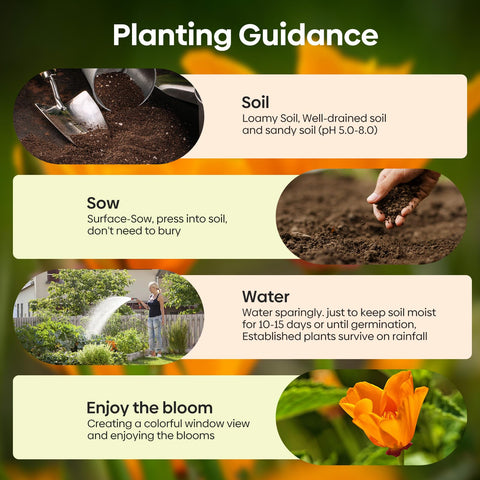 Seed package includes planting guide for easy sowing.