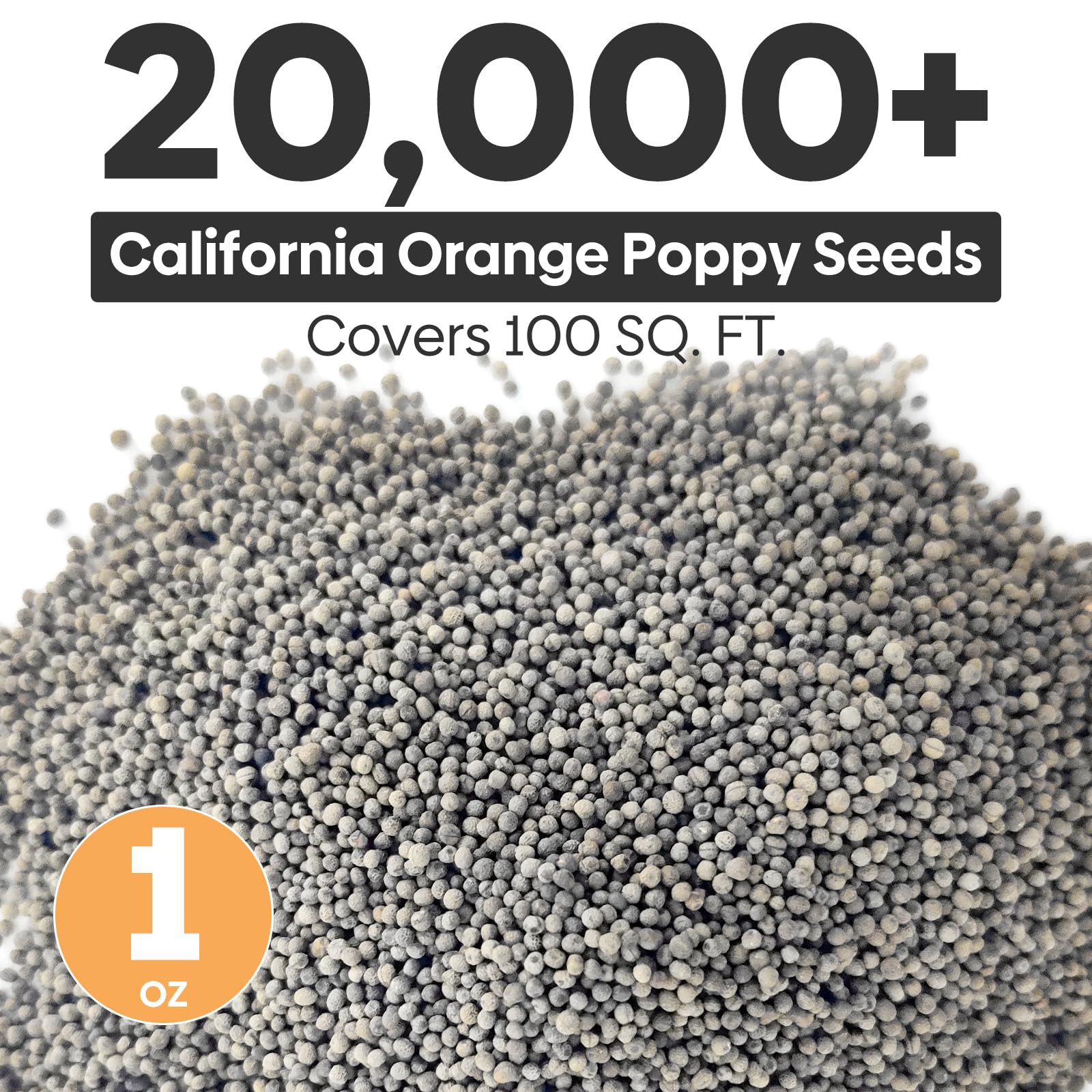 Groundio seeds show USA origin and quality screening.