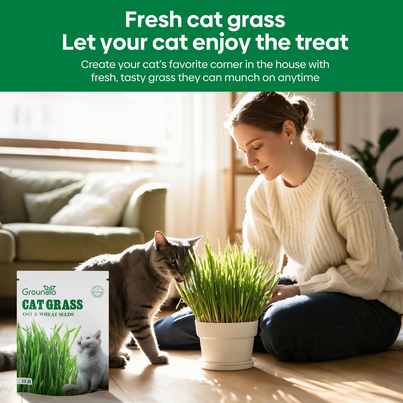 Groundio cat grass seeds spread on soil for easy setup
