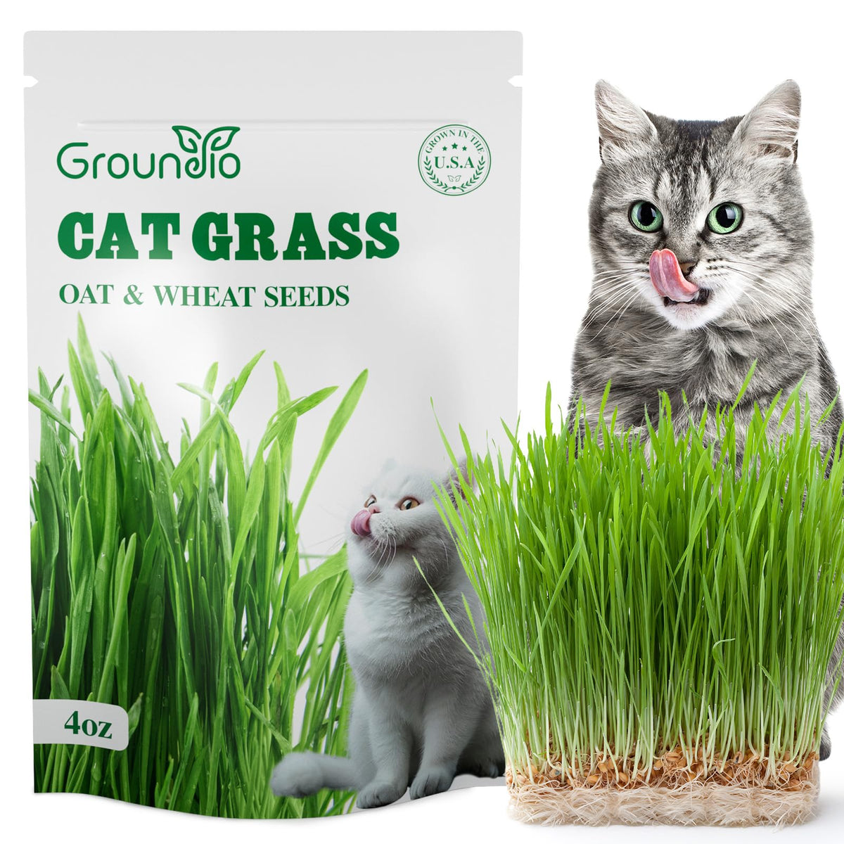 Groundio cat grass seeds 4oz packaging, premium non GMO blend for cats.