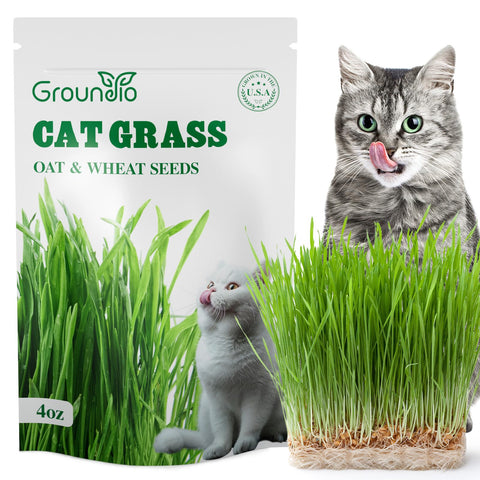 Groundio cat grass seeds 4oz packaging, premium non GMO blend for cats.