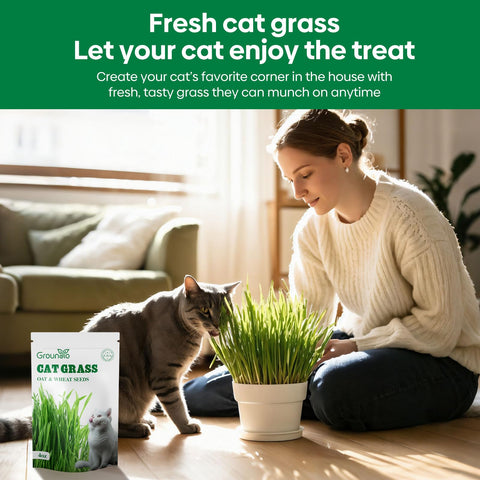 Groundio cat grass provides a tasty greens option for cats.