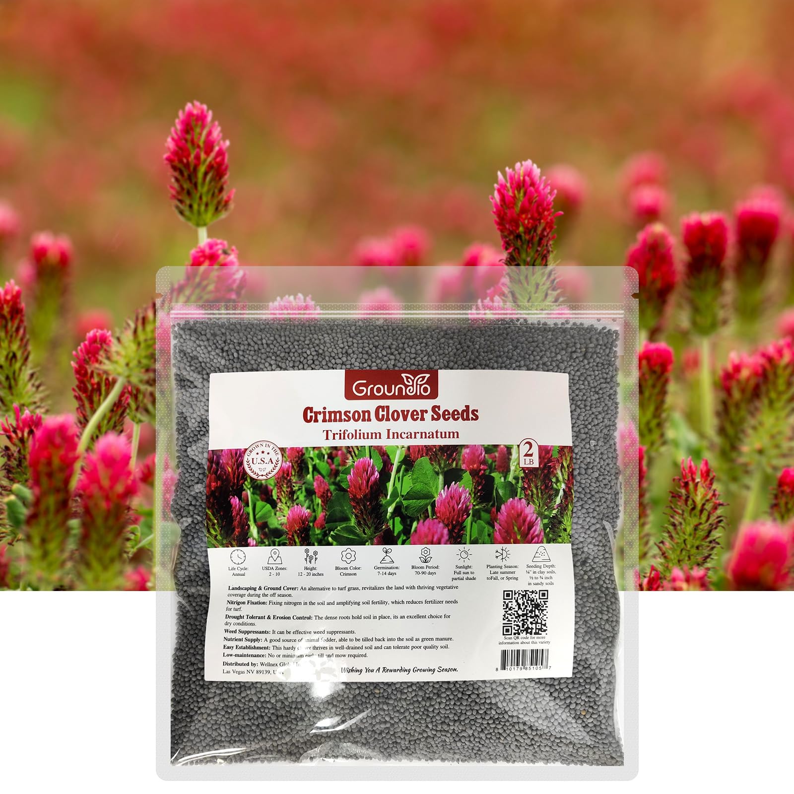 Groundio clover grows 12-20 inches tall for lawn and pasture use.