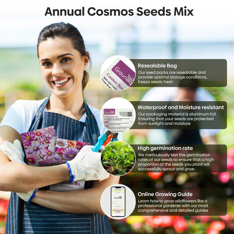 Groundio Cosmos Seeds Purity bloom with serene white petals