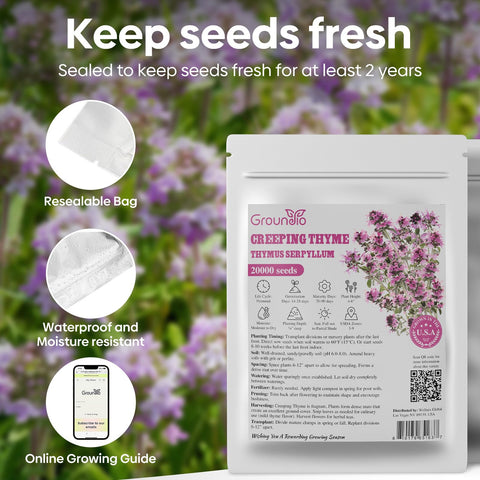 Groundio creeping thyme seeds in foil bag stay fresh.