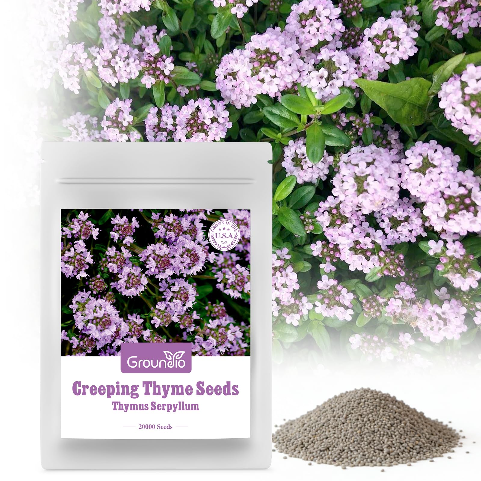 Groundio creeping thyme seeds packaging prepared for garden planning.