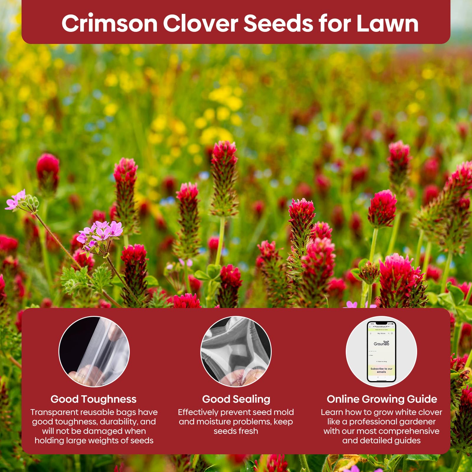 Groundio Crimson Clover seeds nitrogen-fixing roots improving soil fertility.