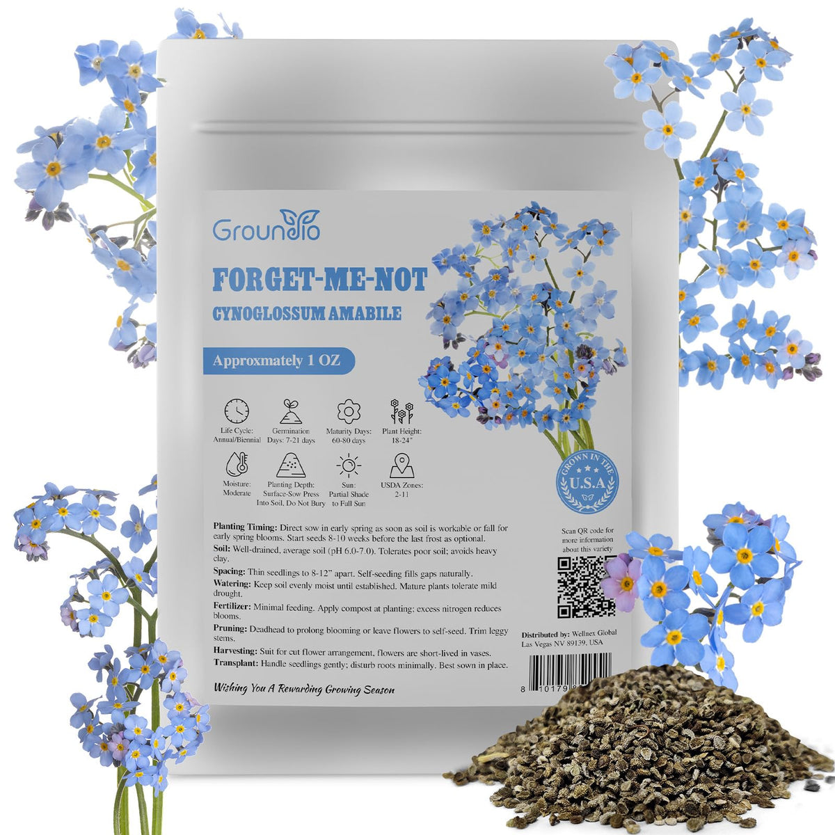Groundio forget-me-not seeds bulk 1oz for quick spring garden color.