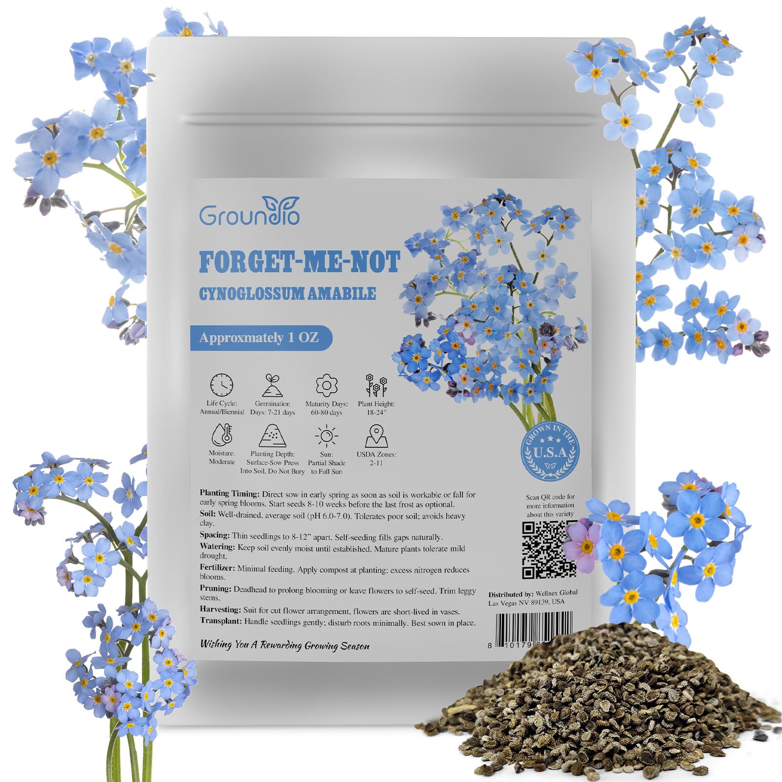 Groundio forget-me-not seeds bulk 1oz for quick spring garden color.