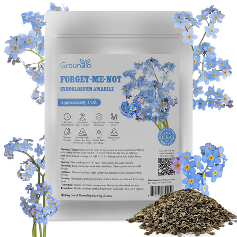 Groundio forget-me-not seeds bulk 1oz for quick spring garden color.