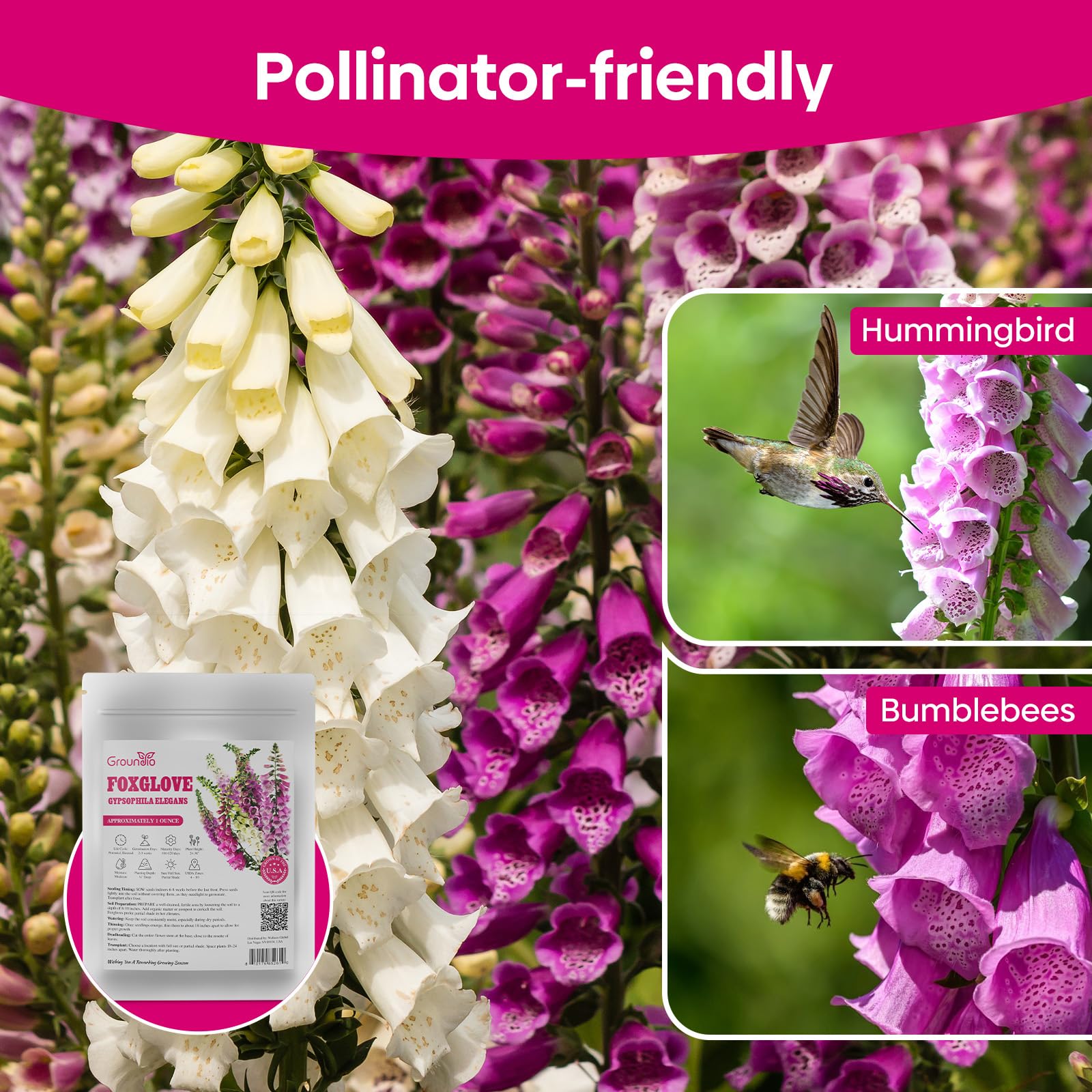 Groundio foxglove seeds ideal for pots and decorative planters