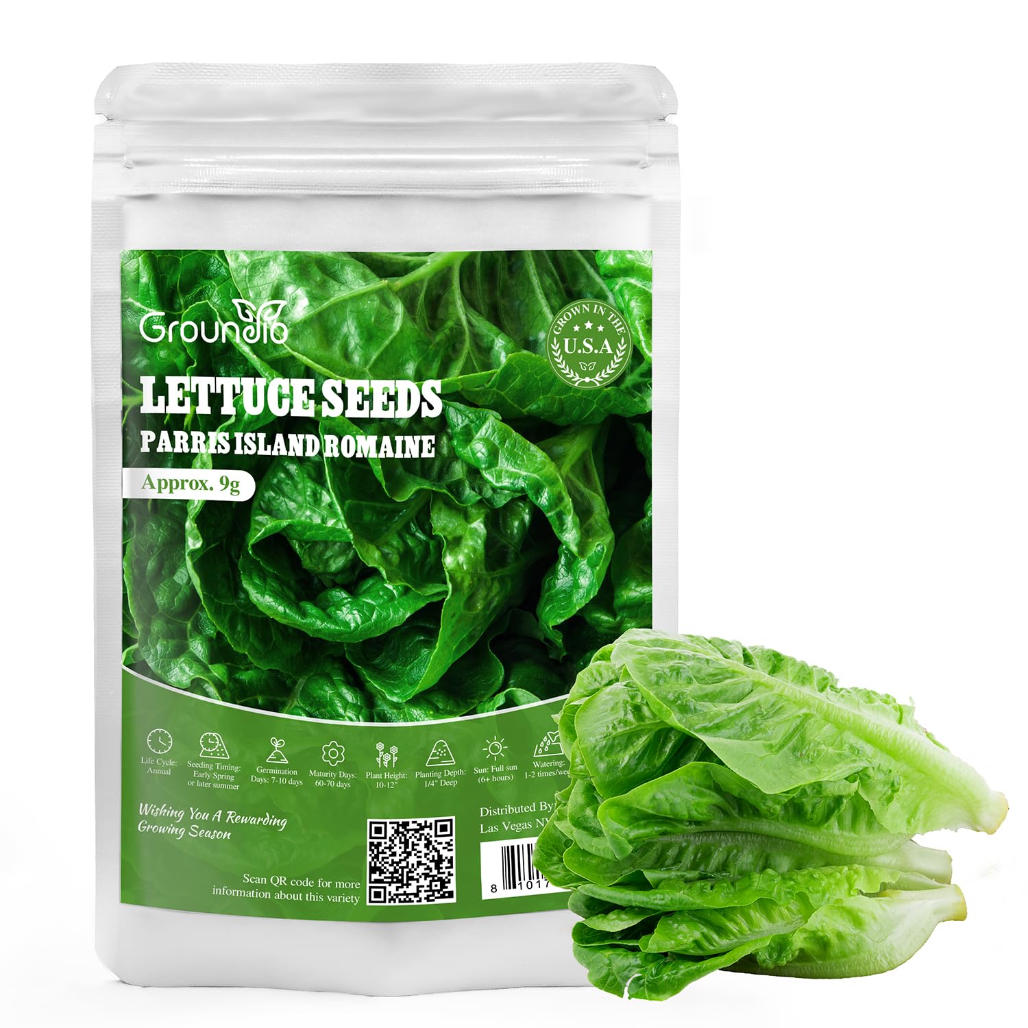 Groundio romaine seeds with high germination quality grown in the USA