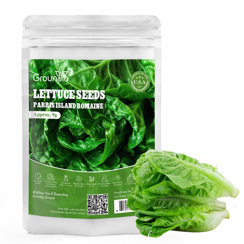 Groundio romaine seeds with high germination quality grown in the USA