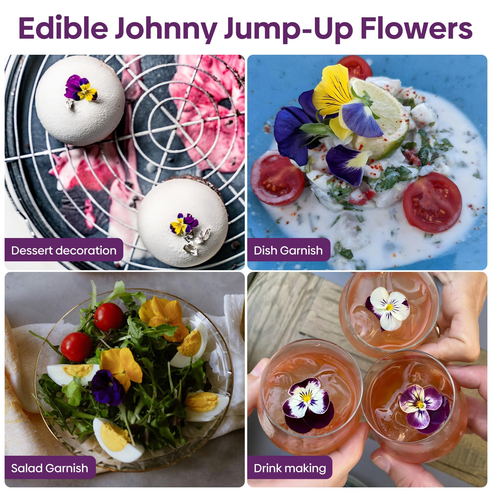 Groundio Johnny Jump Up thrives in balcony containers and pots