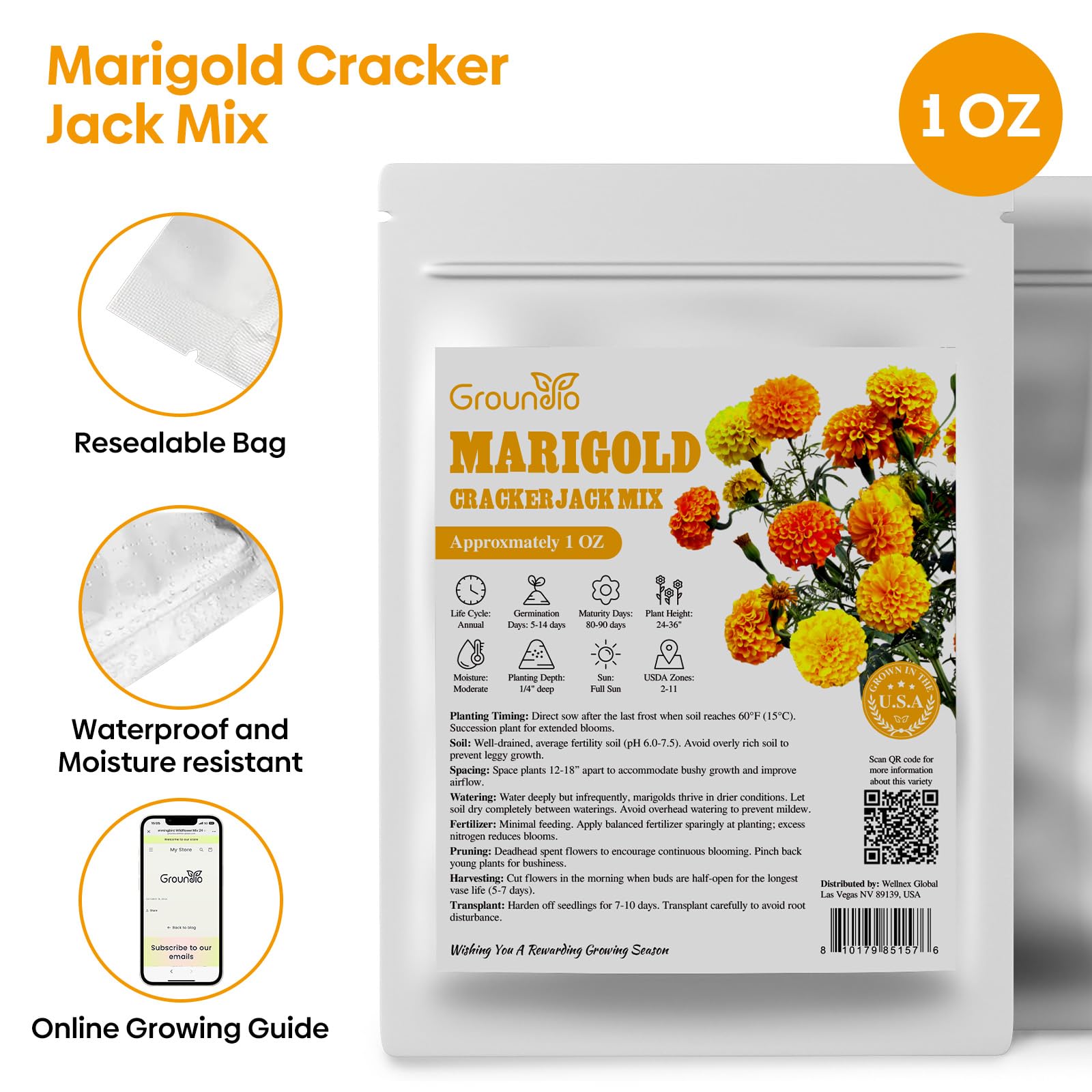 Groundio marigold seeds pollinators visiting show pollinator-friendly blossoms.