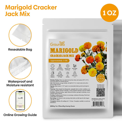 Groundio marigold seeds pollinators visiting show pollinator-friendly blossoms.