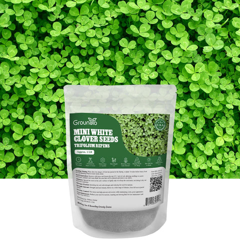 Groundio mini white clover seeds in a bag, ideal for a low-maintenance lawn option.