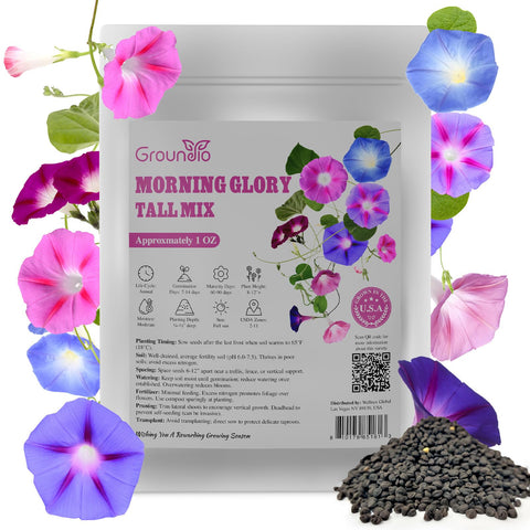 Groundio Morning Glory Seeds mix color tall on a sunny trellis for privacy