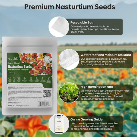 Groundio nasturtium edible flowers brighten salads and dishes
