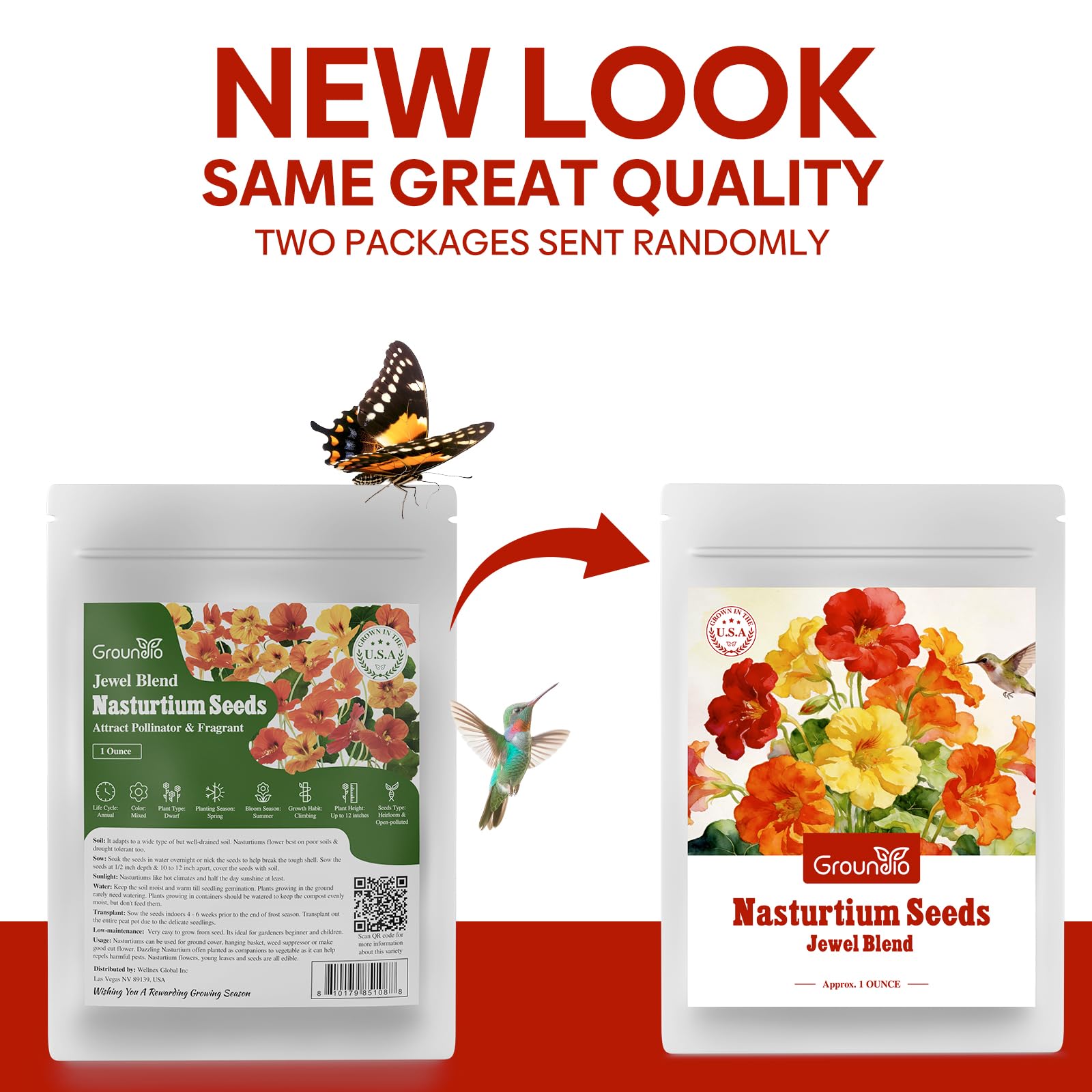 Groundio nasturtium yellow flower bloom enhances garnishes and cheer