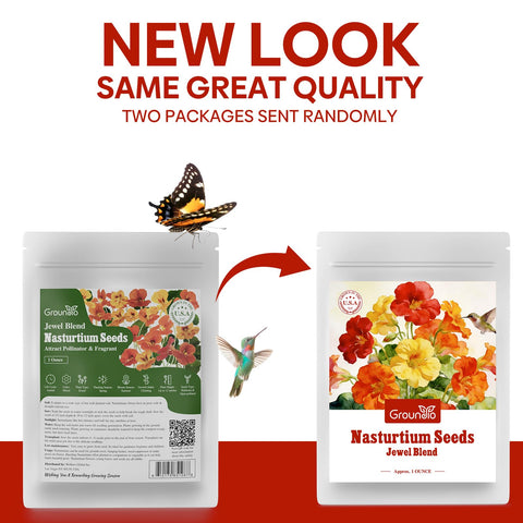 Groundio nasturtium yellow flower bloom enhances garnishes and cheer