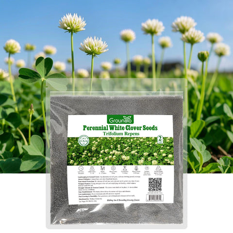 Groundio nitrocoated clover seed packaging ready for lawn planting