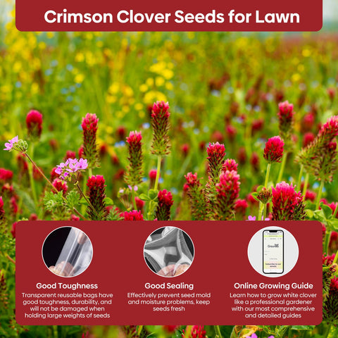 Groundio Nitrocoated and inoculated seeds support robust growth and establishment.