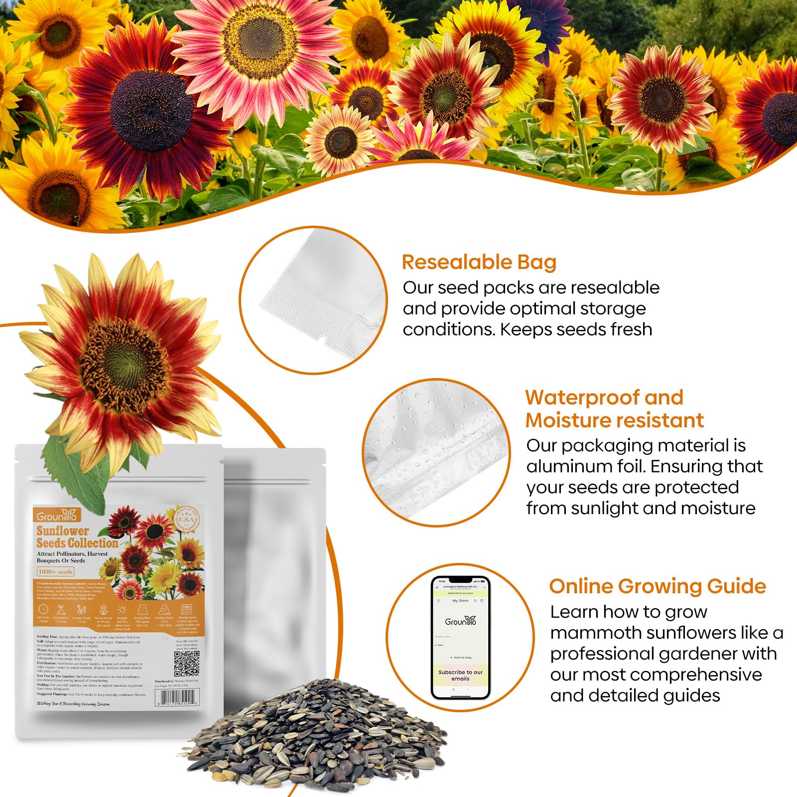Groundio edible sunflower seeds ready for roasting or oil production.
