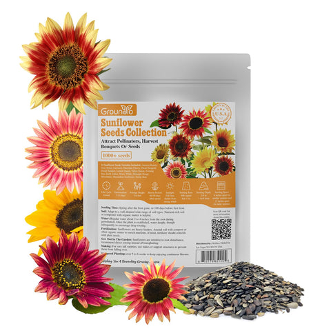 Groundio packaging with planting guide for easy care and sowing.