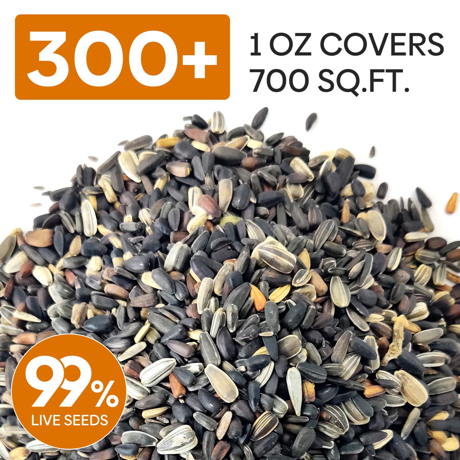 Groundio mixed sunflower seeds showing 15 colors for vibrant outdoors.