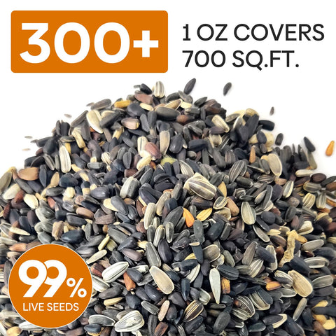 Groundio mixed sunflower seeds showing 15 colors for vibrant outdoors.