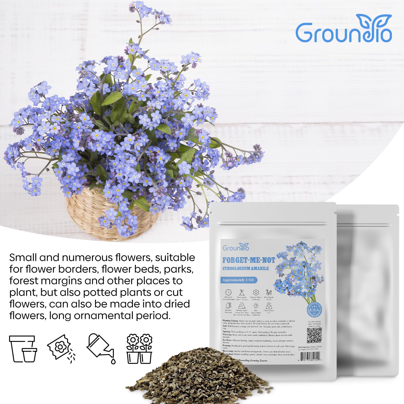 Groundio forget-me-not seeds germinate with high germination rate around 95%.