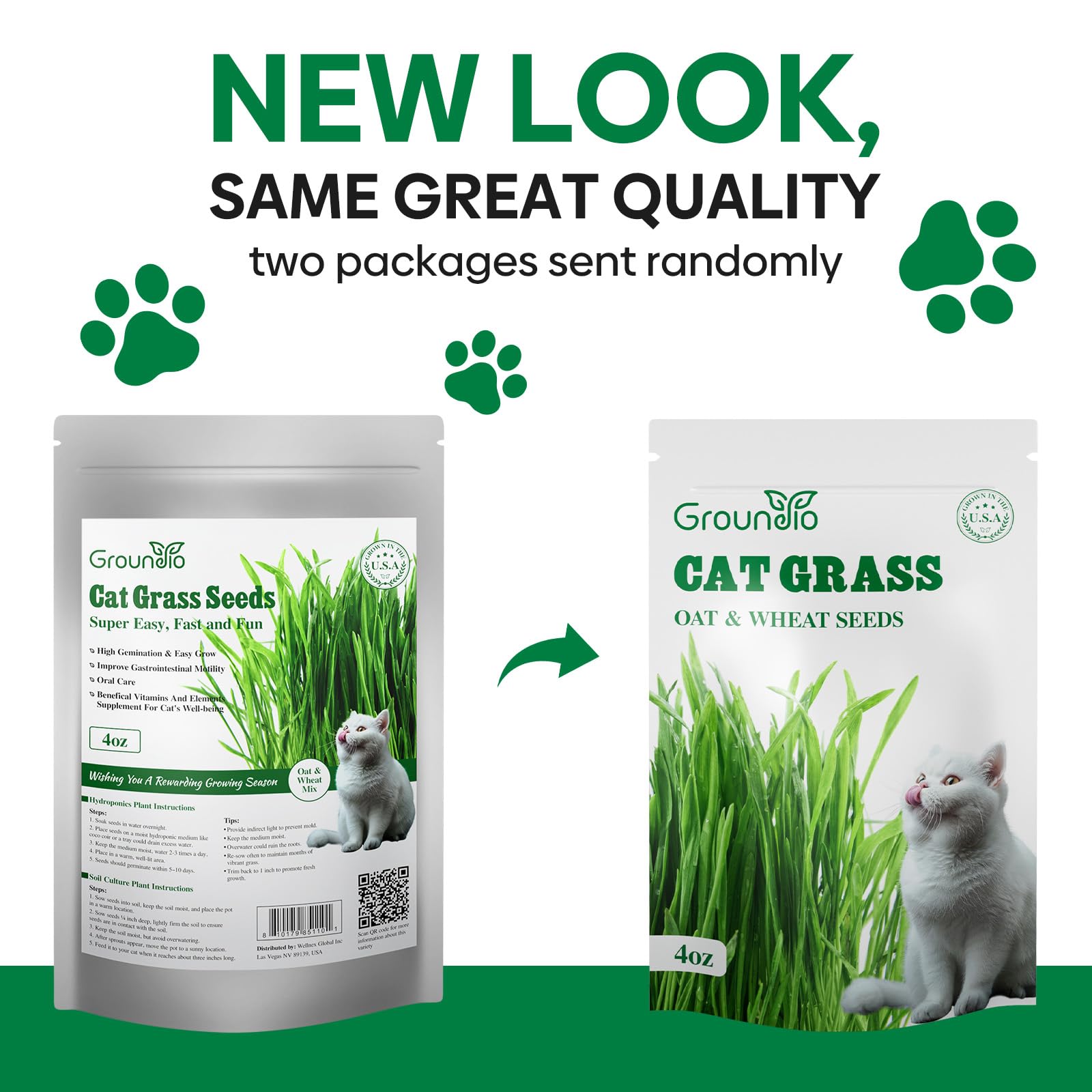 Groundio wheat and oat seed mix for lush indoor cat grass.