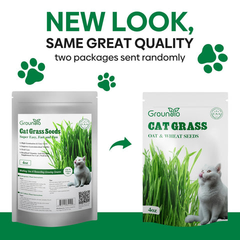 Groundio wheat and oat seed mix for lush indoor cat grass.