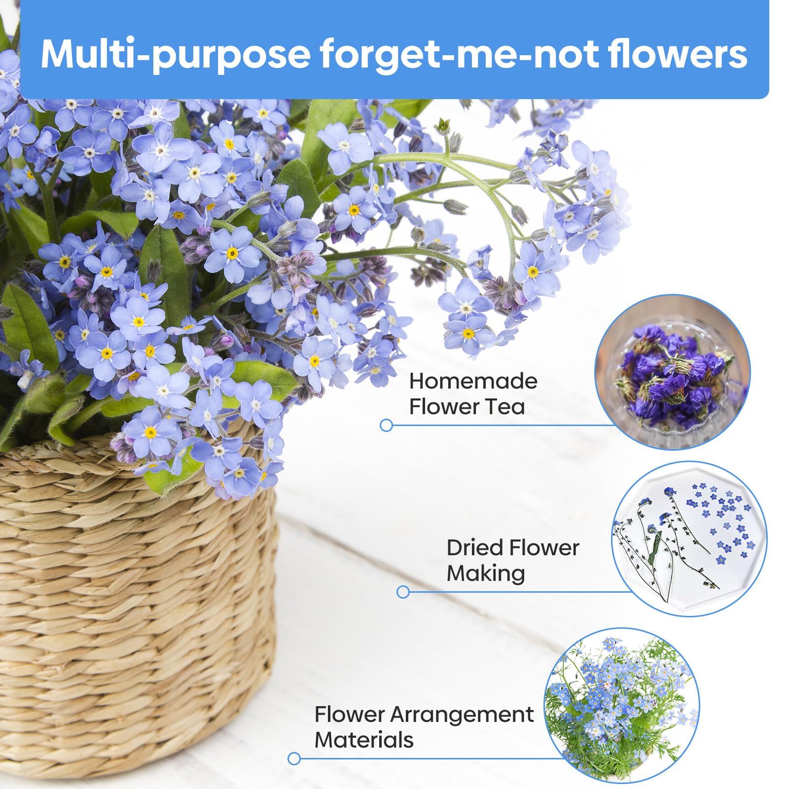 Groundio wildflower garden bed with forget-me-not for pollinator-friendly bloom.