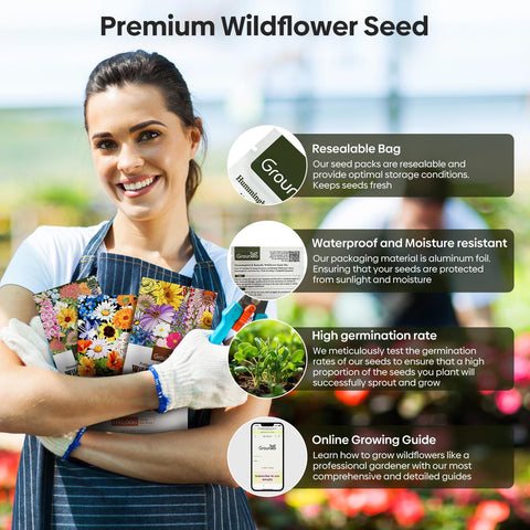 Groundio wildflower mix grows 12-48 inches tall